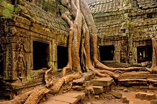 Visiting Angkor Wat thumbnail