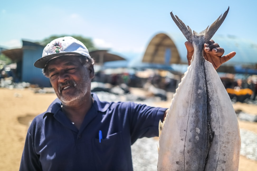 Negombo Fish Market