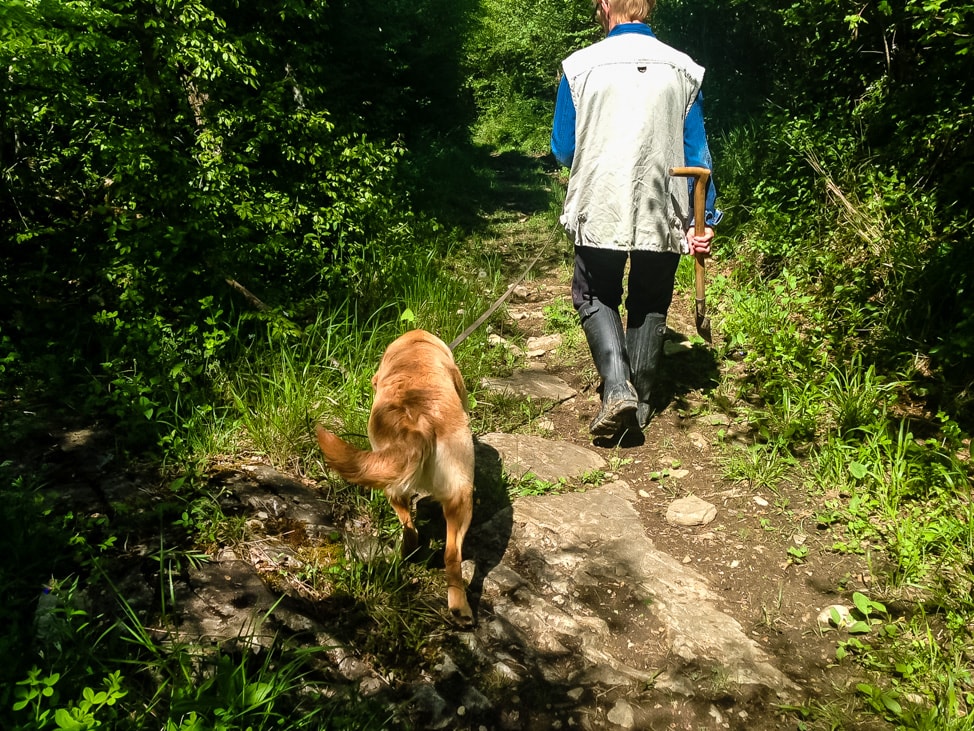 truffle hunting