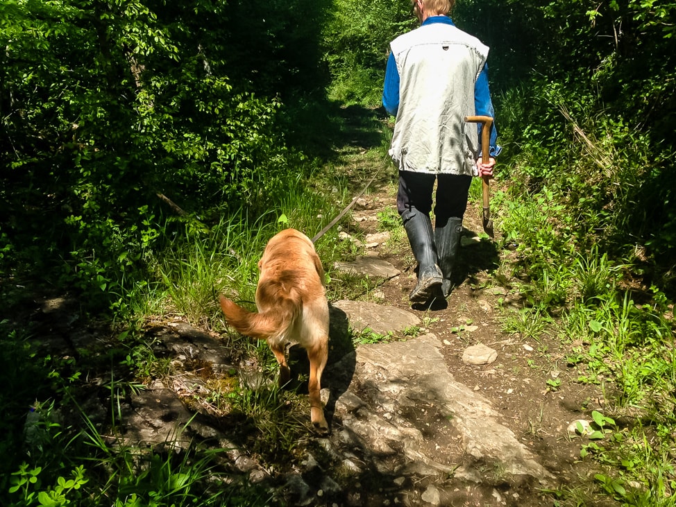 truffle hunting