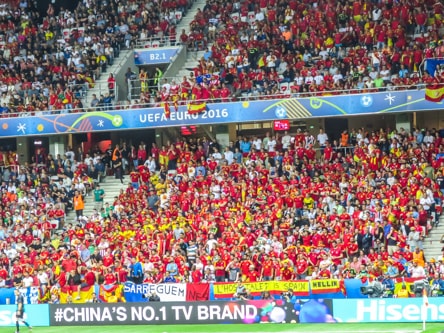 The Spanish fans going crazy during Euros 2016 in Nice, France