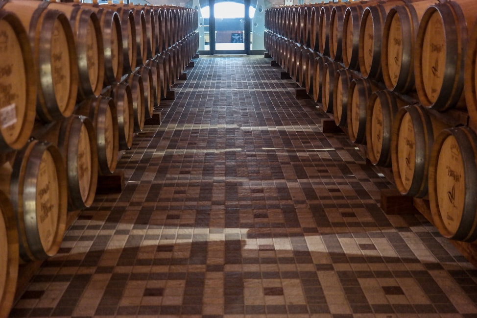 Barolo wine cellar