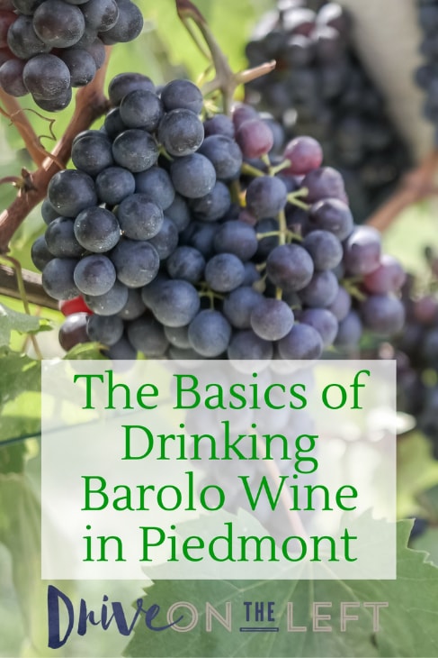 Barolo Wine
