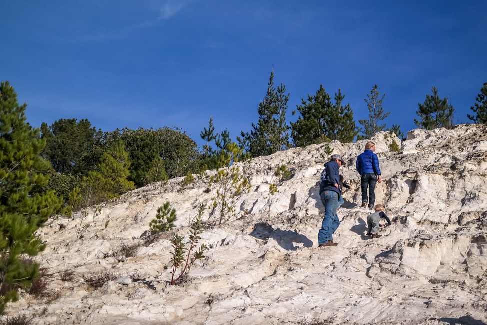 california road trip christmas tree