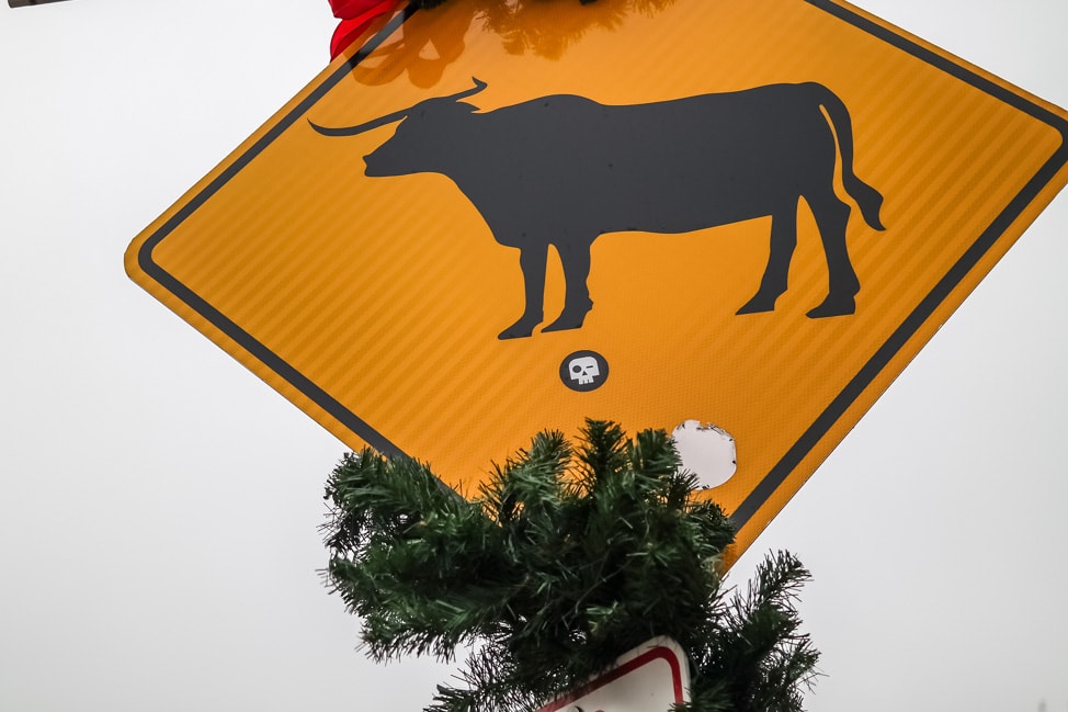 Visit Fort Worth: the longhorn crossing sign in the Stockyards in Old Fort Worth