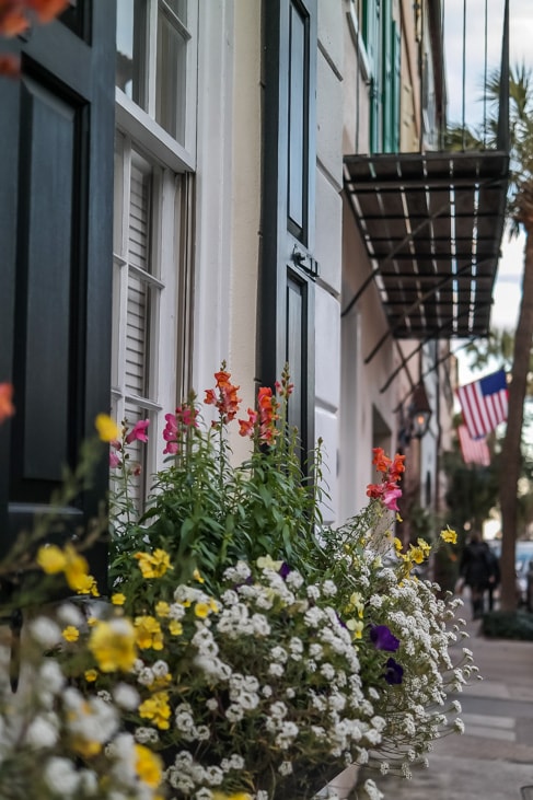 best things to do in charleston the window boxes in charleston are charming and lovely