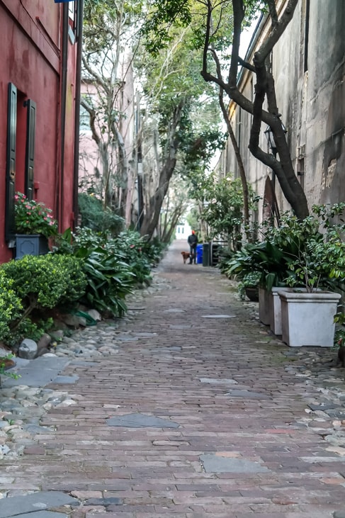 best things to do in charleston many of the streets of charleston are mews streets