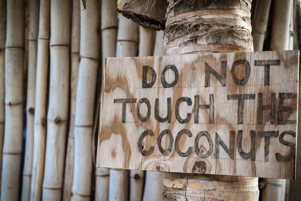 st. kitts best beaches don't touch the coconuts