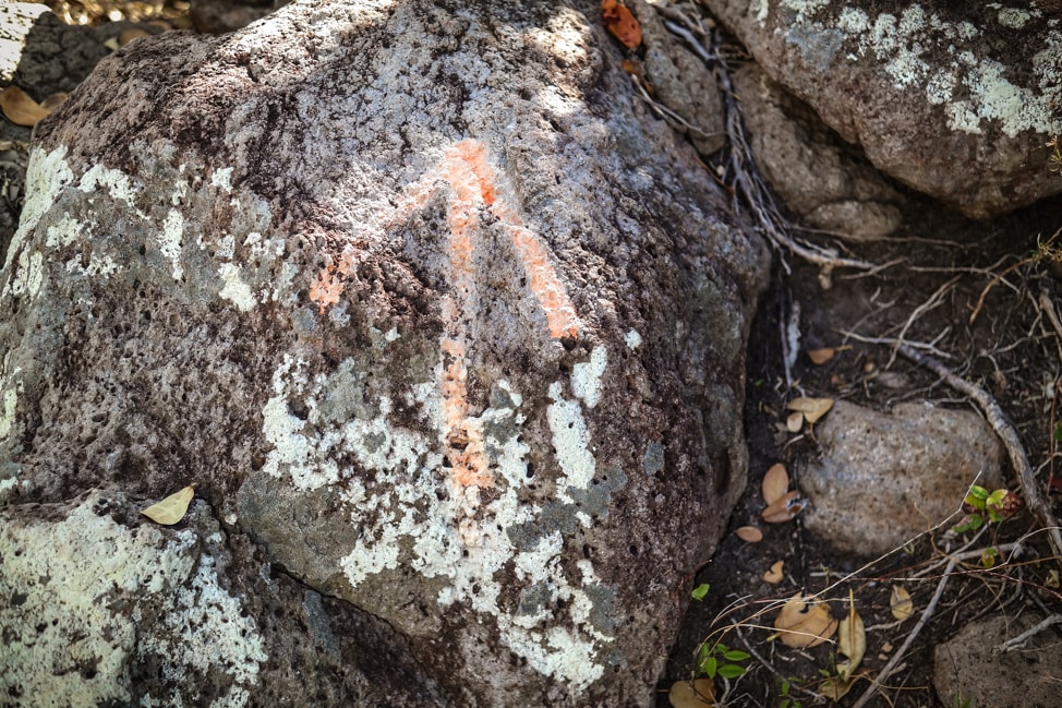 hiking in st. kitts lots of orange markers on this hike