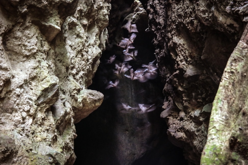 Kitt's Cave / #CanadaDo / Caves in NB