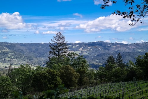 what to do in Napa Valley: the view of the valley from Spring Mountain