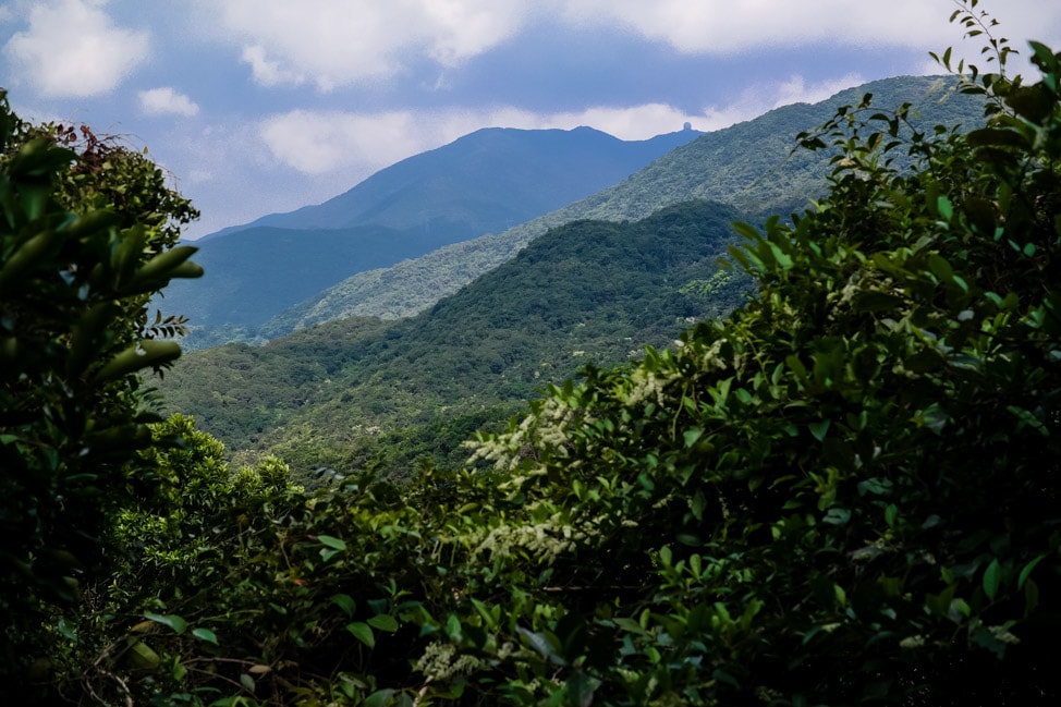 Dragon's Back Hike in Hong Kong