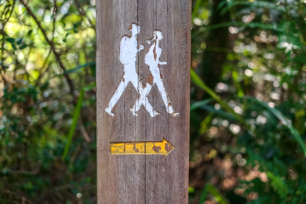 Dragon's Back Hike in Hong Kong