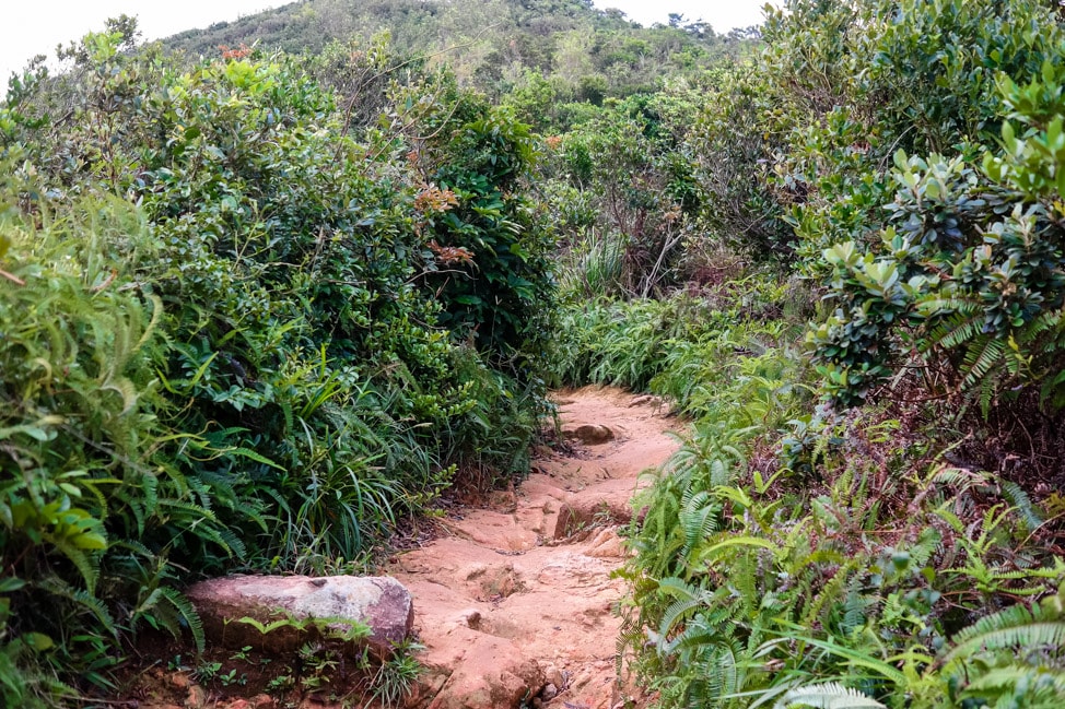 Dragon's Back Hike in Hong Kong
