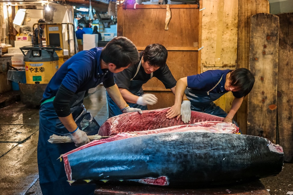 Tsukiji Fish Market Guide