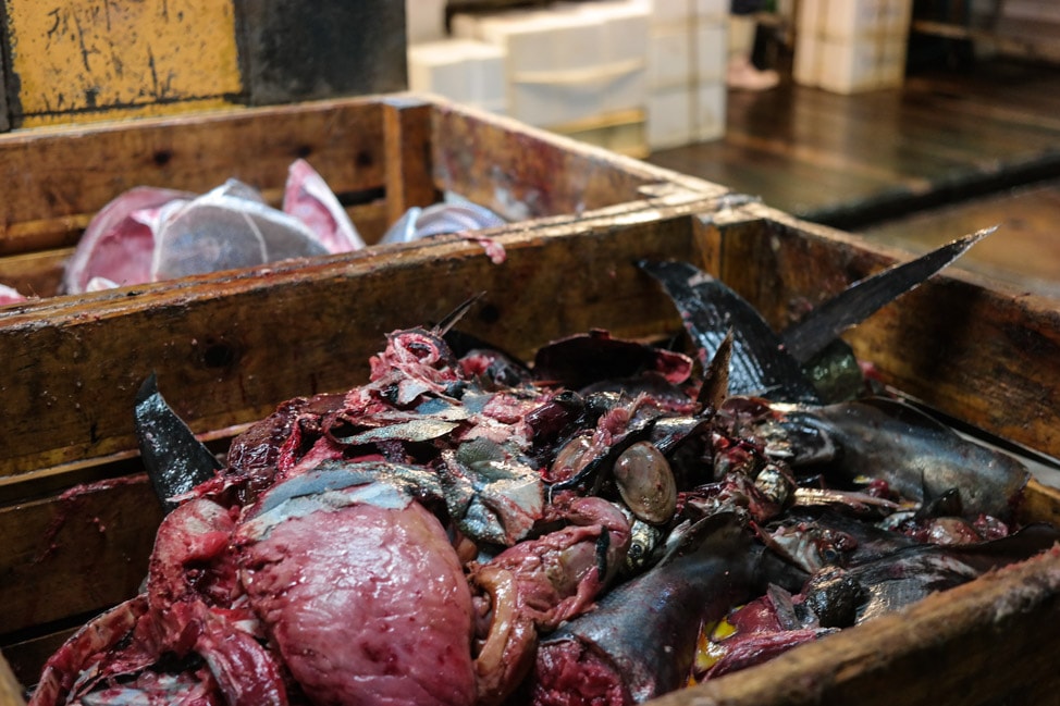 Tsukiji Fish Market Guide