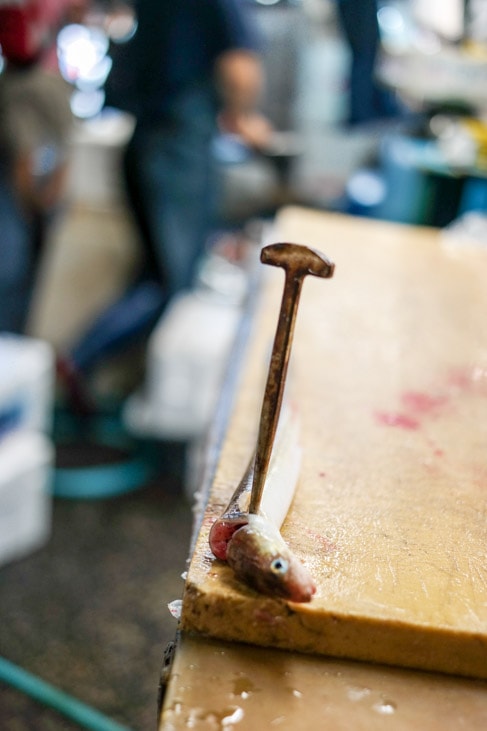 Tsukiji Fish Market Guide