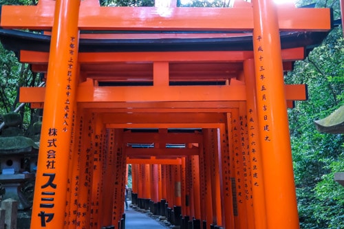 Kyoto: Geishas, Soba & Bamboo thumbnail