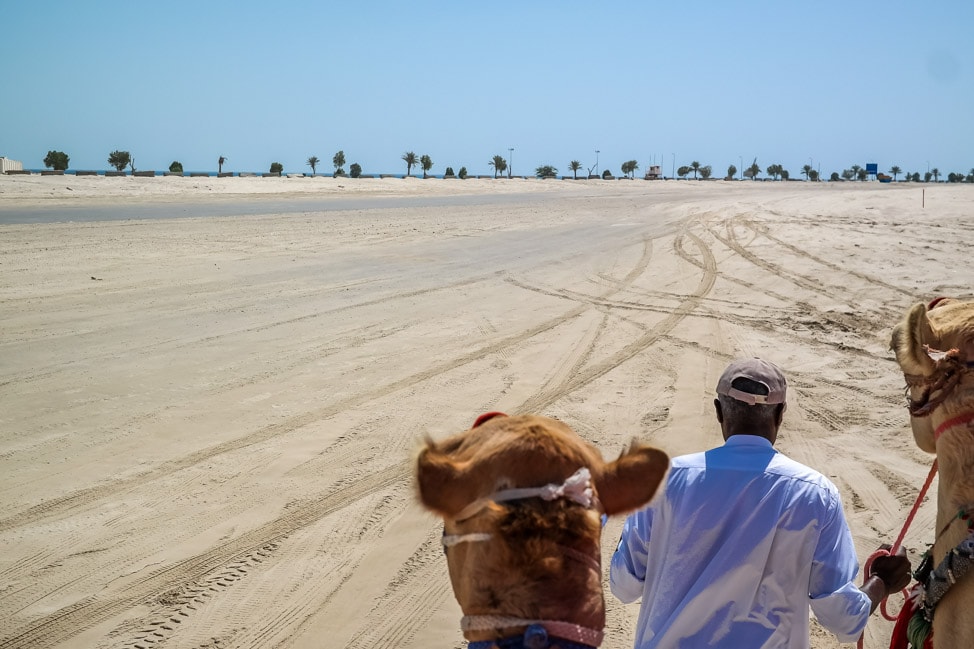 desert safari in Qatar