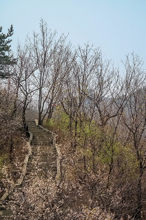 Great Wall Hiking