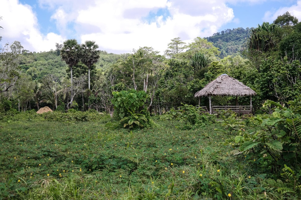 Phuket Elephant Sanctuary