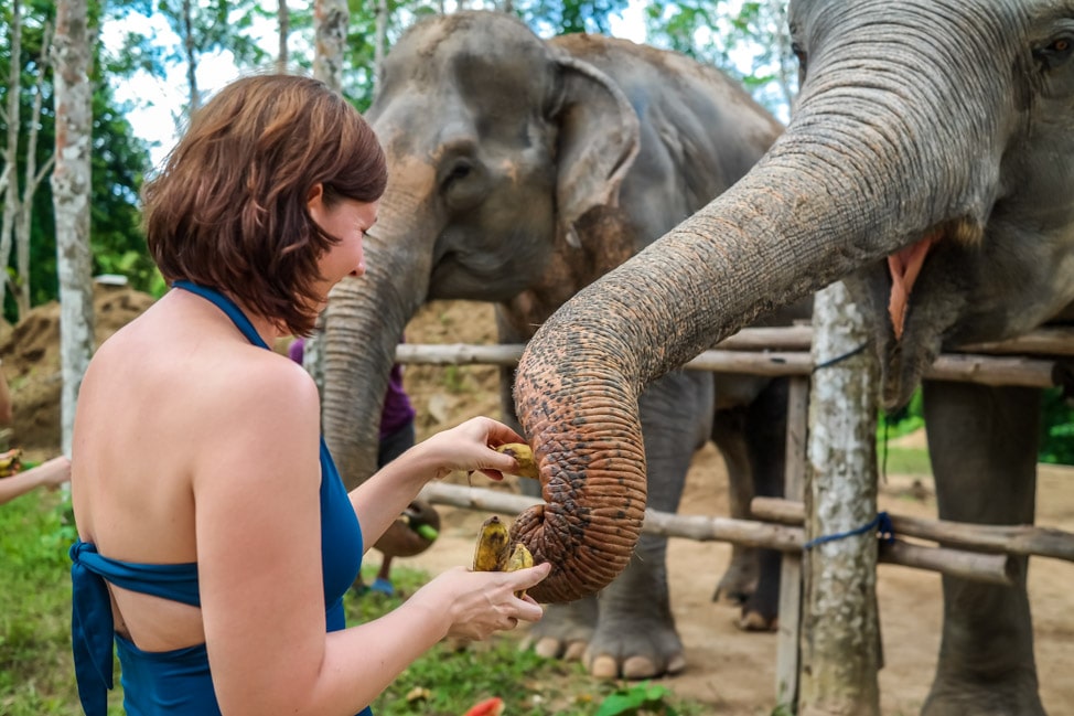 Phuket Elephant Sanctuary