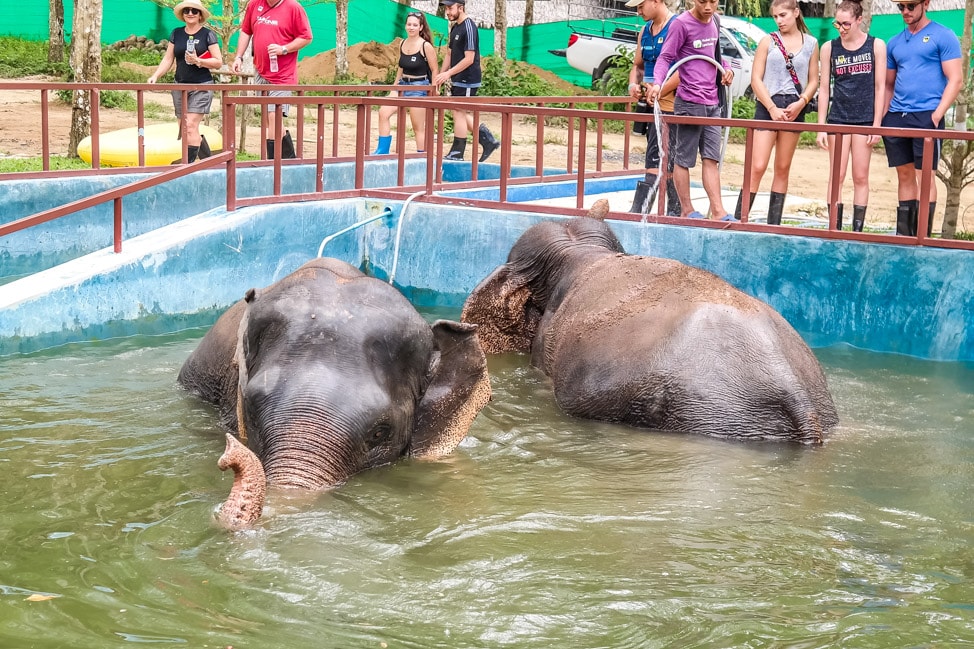 Phuket Elephant Sanctuary