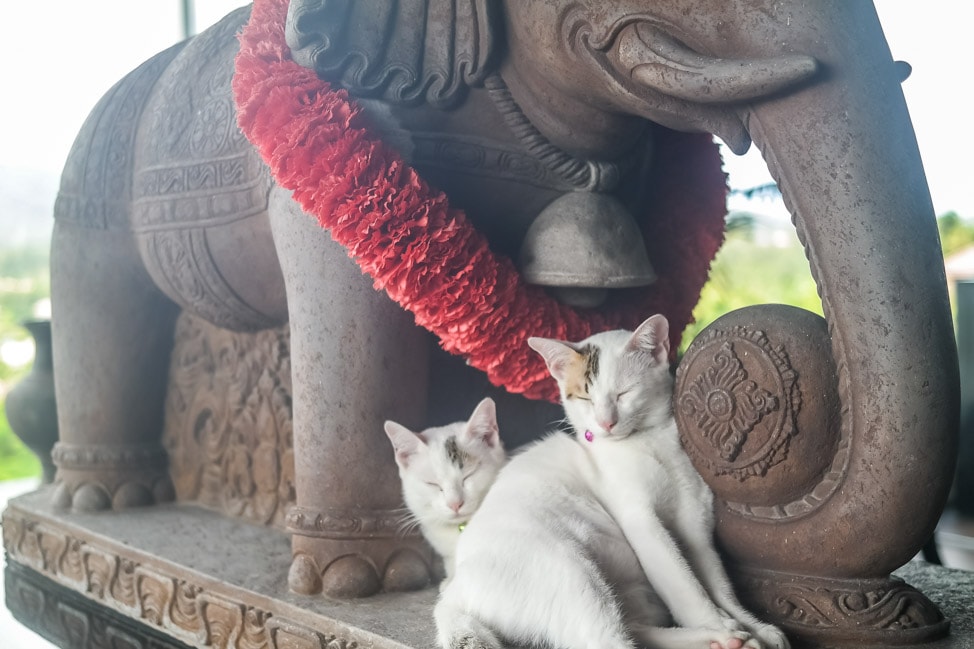 The Pavilions Phuket