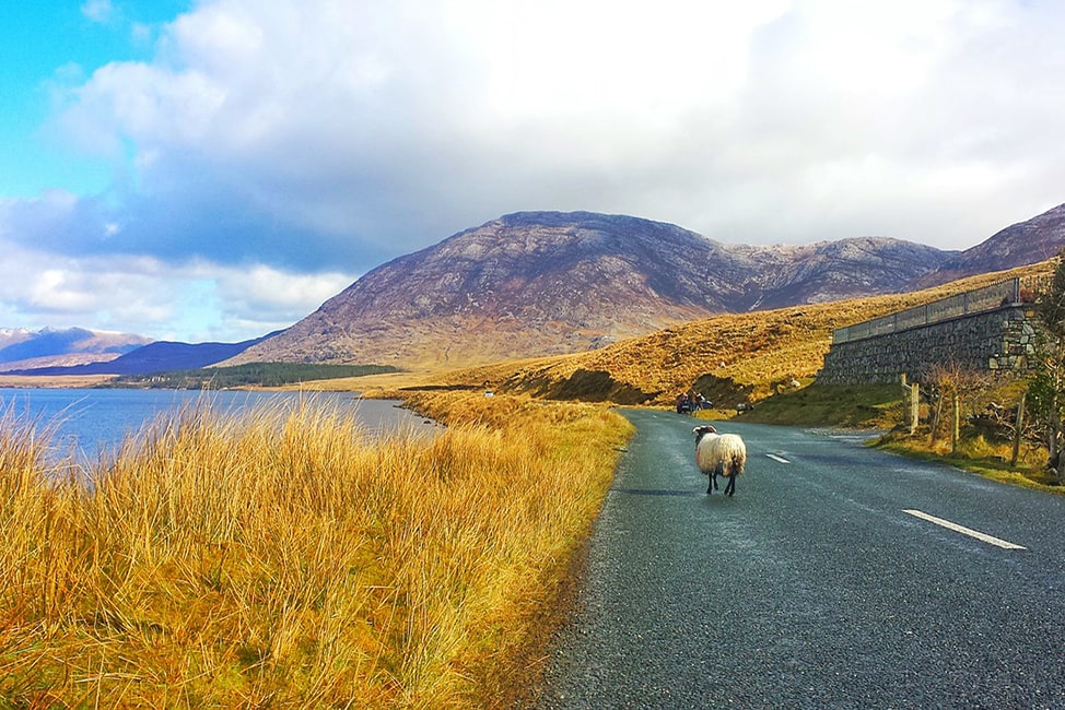 Ireland road trip