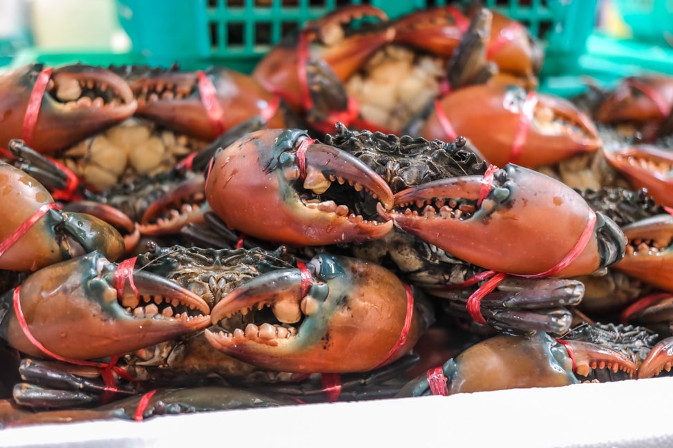 bangkok street food tour