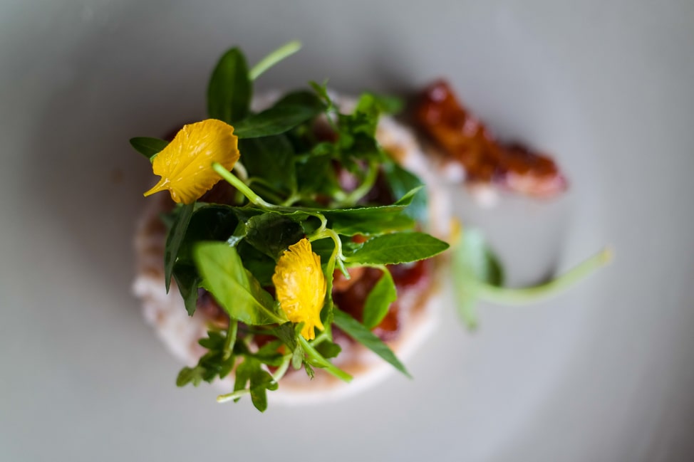 Yala Safari: Tartar at Basses at Chena Huts