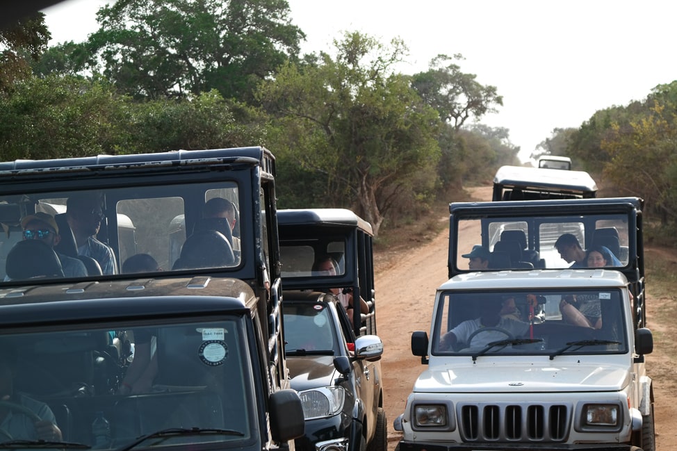 Yala safari tour 
