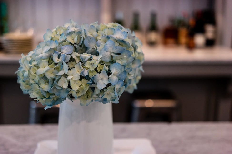 Inn at Little Pond Farm