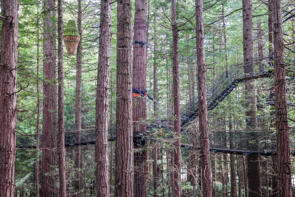 not a single nail was used to secure the walkways. Instead massive tree hugging bands hold everything up