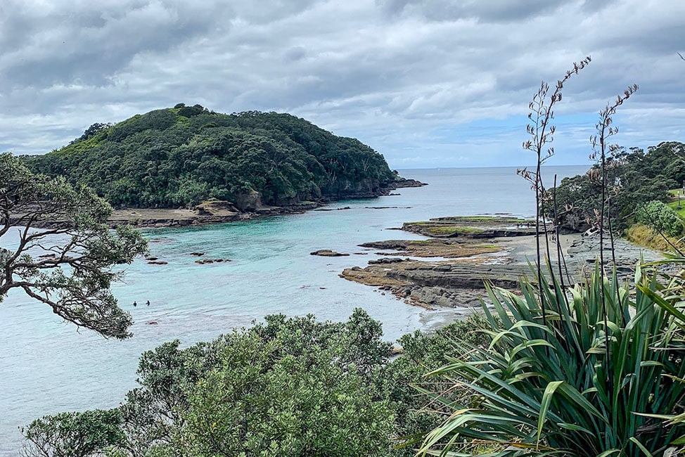 goat island marine reserve, beautiful and cold